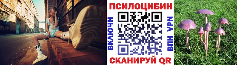 Галлюциногенные грибы прущие грибы  Лосино-Петровский 